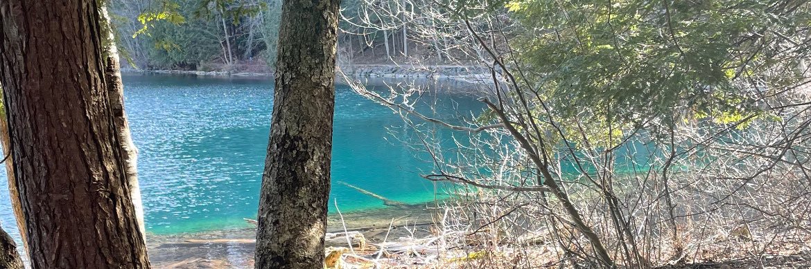 Jordan Rickman banner