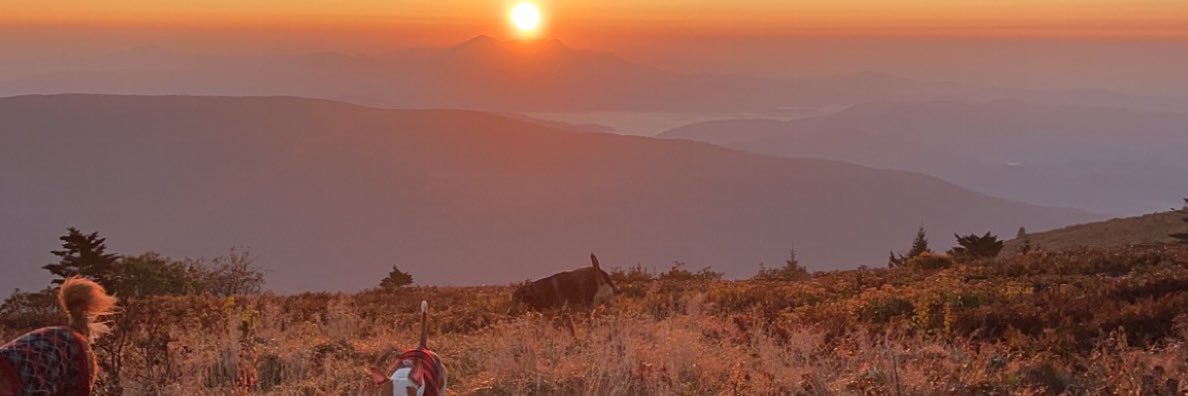 TheNamesJoshua_'s profile banner image