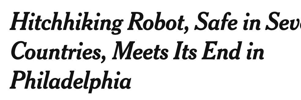 Lauren Vidas @broadandmarket.gobirds.online banner