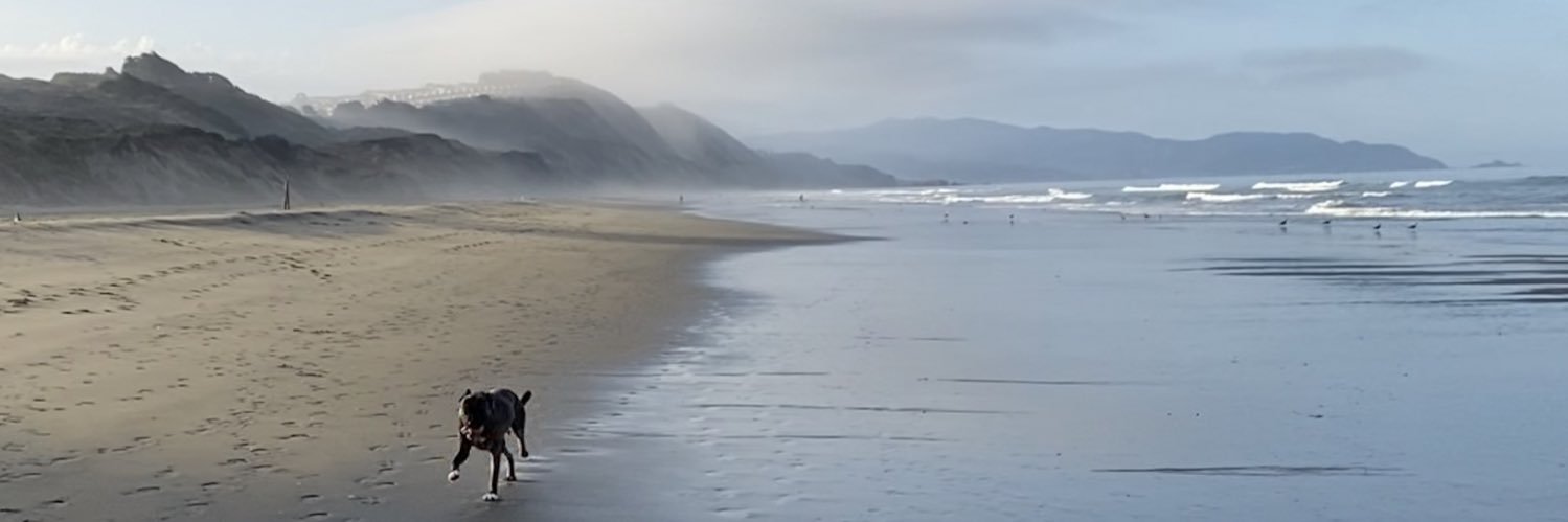 Ana Brazaityte (she/her) banner