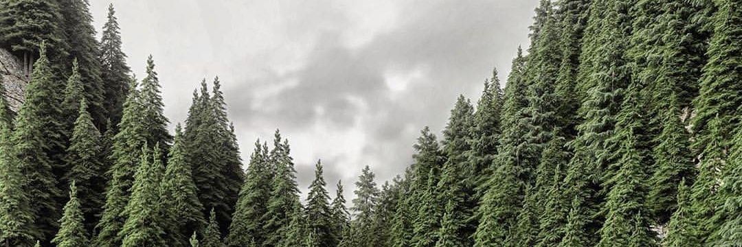 AdolfG_'s profile banner image