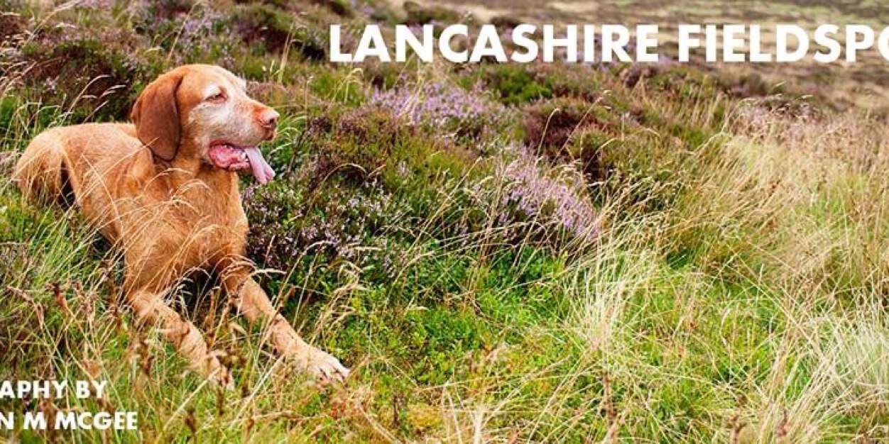 Lancashire_LFS's profile banner image
