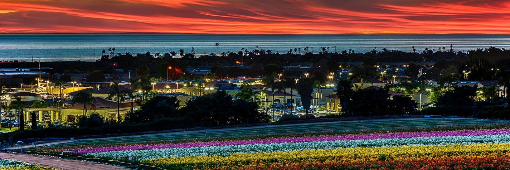 CarlsbadDance's profile banner image