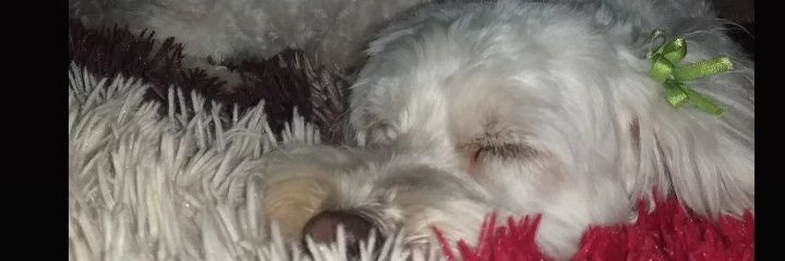 agusolci922's profile banner image