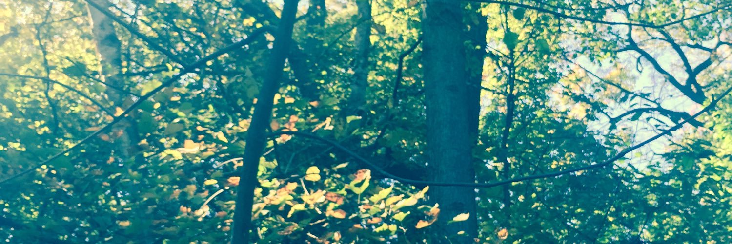 rfilippone's profile banner image