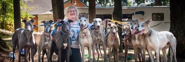 loribigler's profile banner image