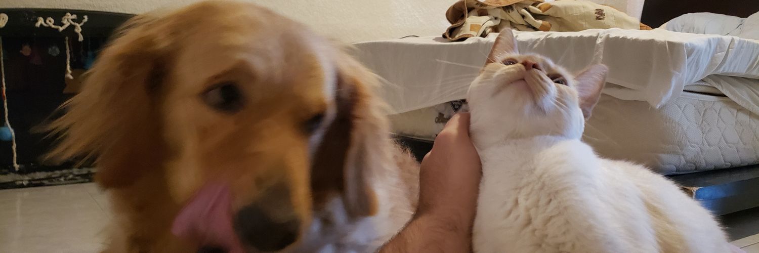 RoMag_'s profile banner image