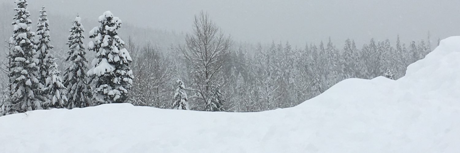 tcleek2's profile banner image