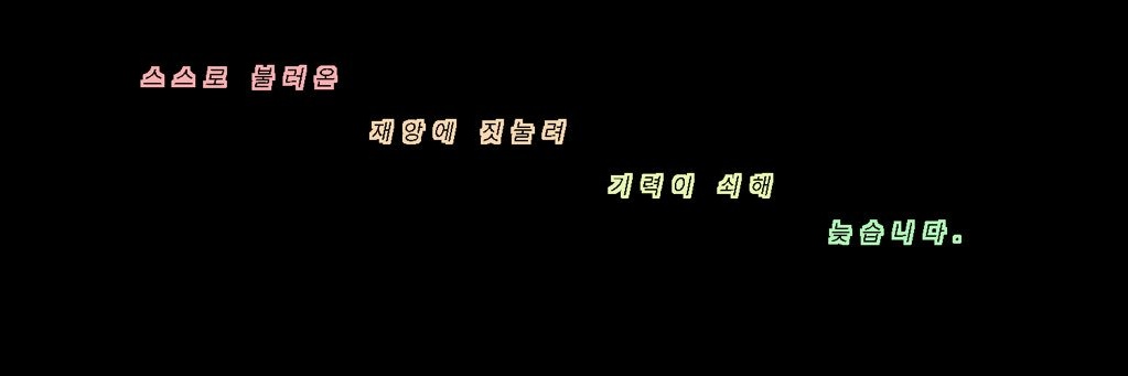 elinXD_'s profile banner image