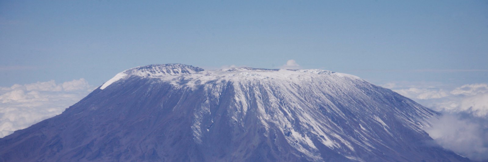 Reuters Africa's banner
