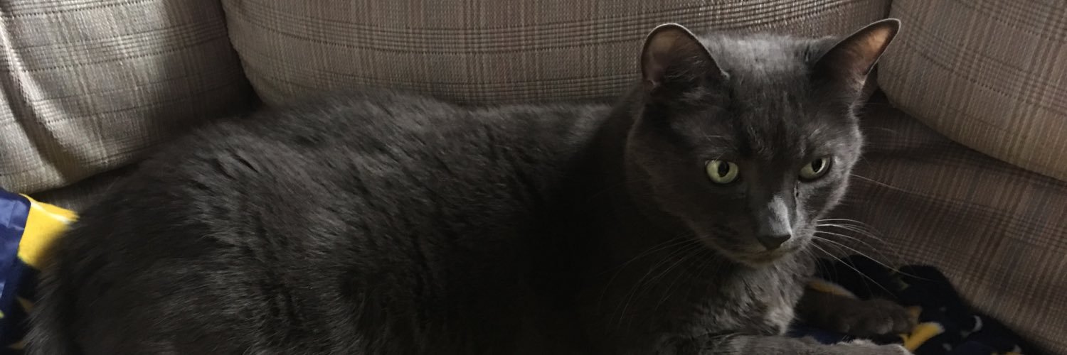 nickipedia989's profile banner image
