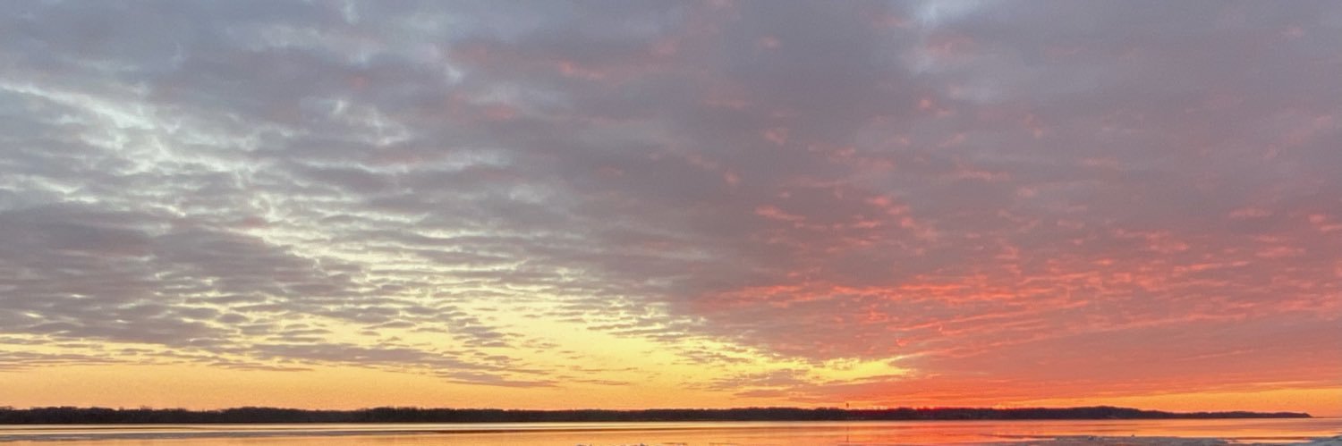 marissahoerman's profile banner image