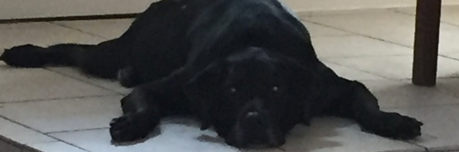 ShelliWms's profile banner image