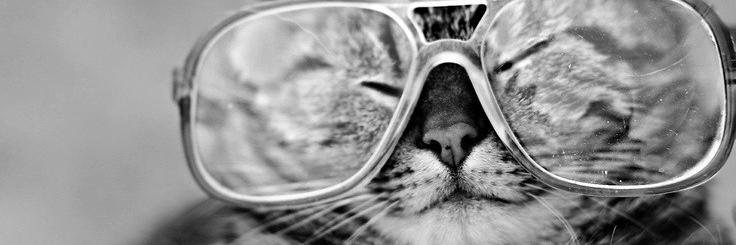 galop_o's profile banner image