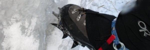 bcbiochemist Profile Banner