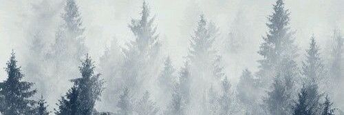 Linaaaaak's profile banner image