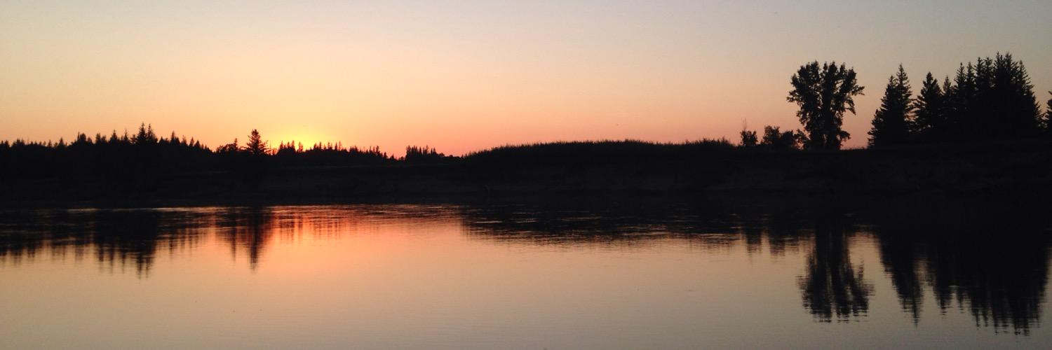 allysonkula's profile banner image