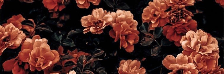 eve_layan's profile banner image