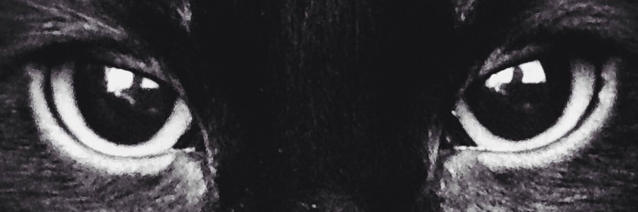 ChloeCarter_A's profile banner image