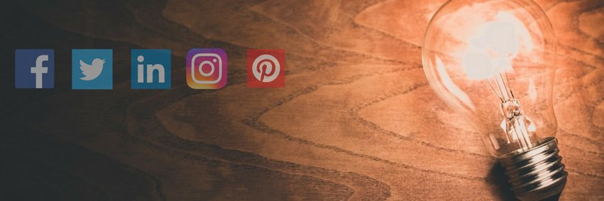 Virginia Rexach banner