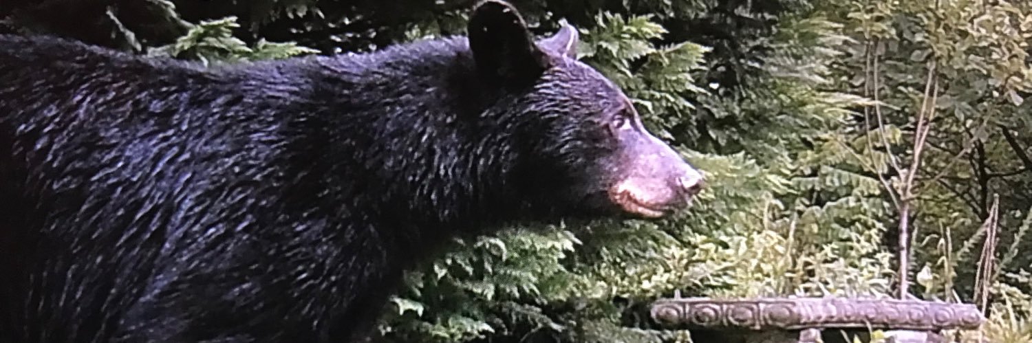 T_DeLoach's profile banner image