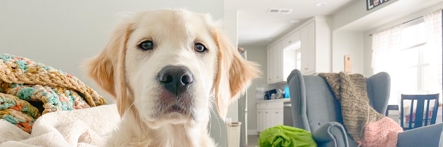 Patrick ❤️‍🔥 banner