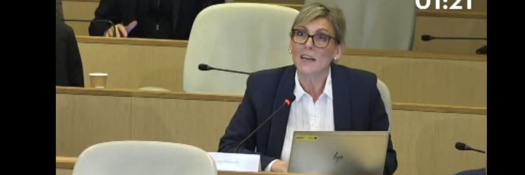 Céline Porquet Ⓜ️ banner