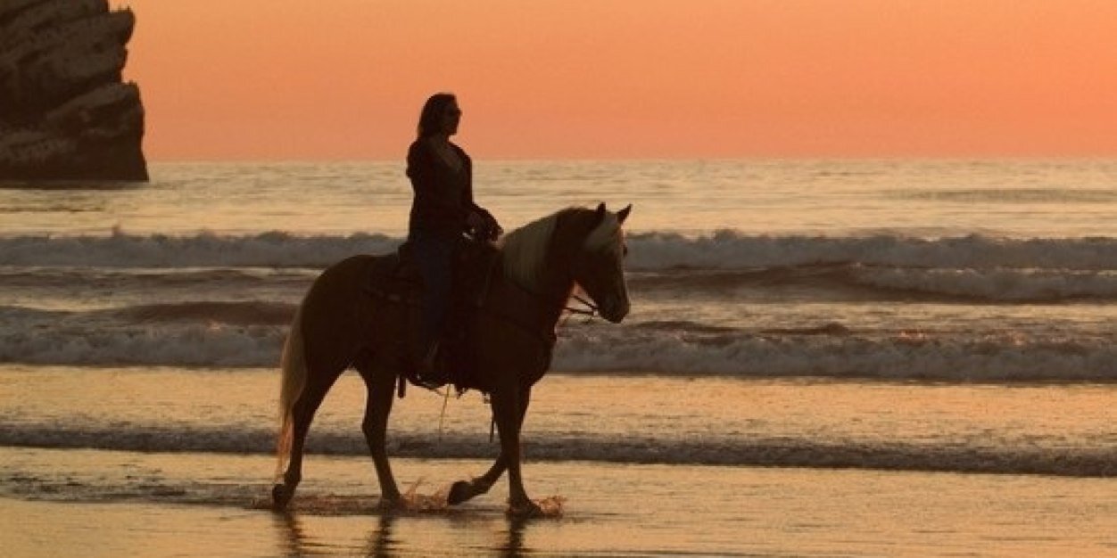 lorelairosewill's profile banner image