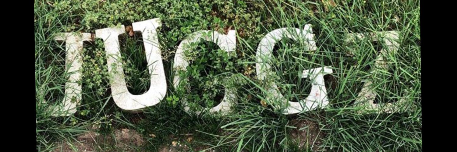bo_chee's profile banner image