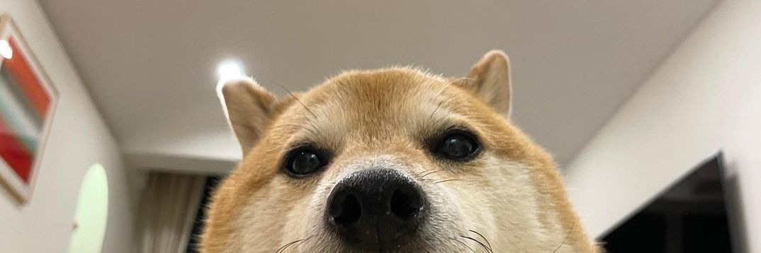 kutihno's profile banner image