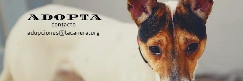 La Canera banner