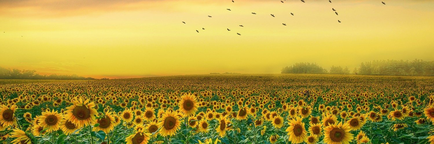 CalvinWinter's profile banner image