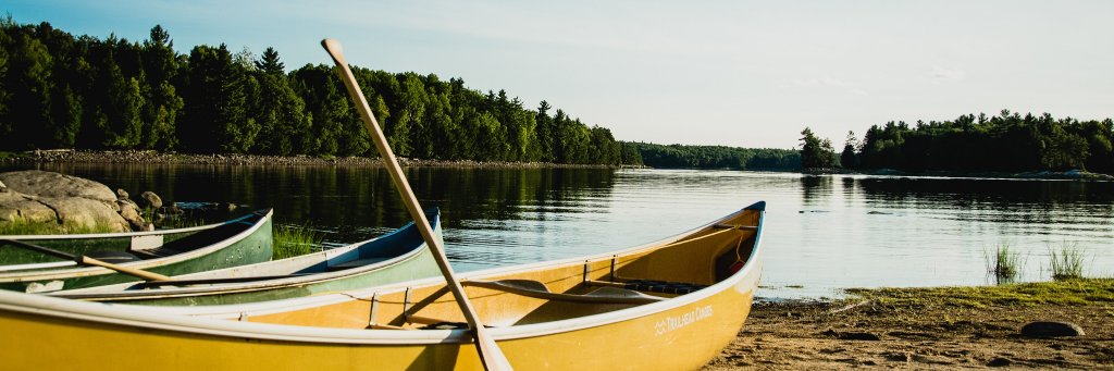 BrianKells's profile banner image