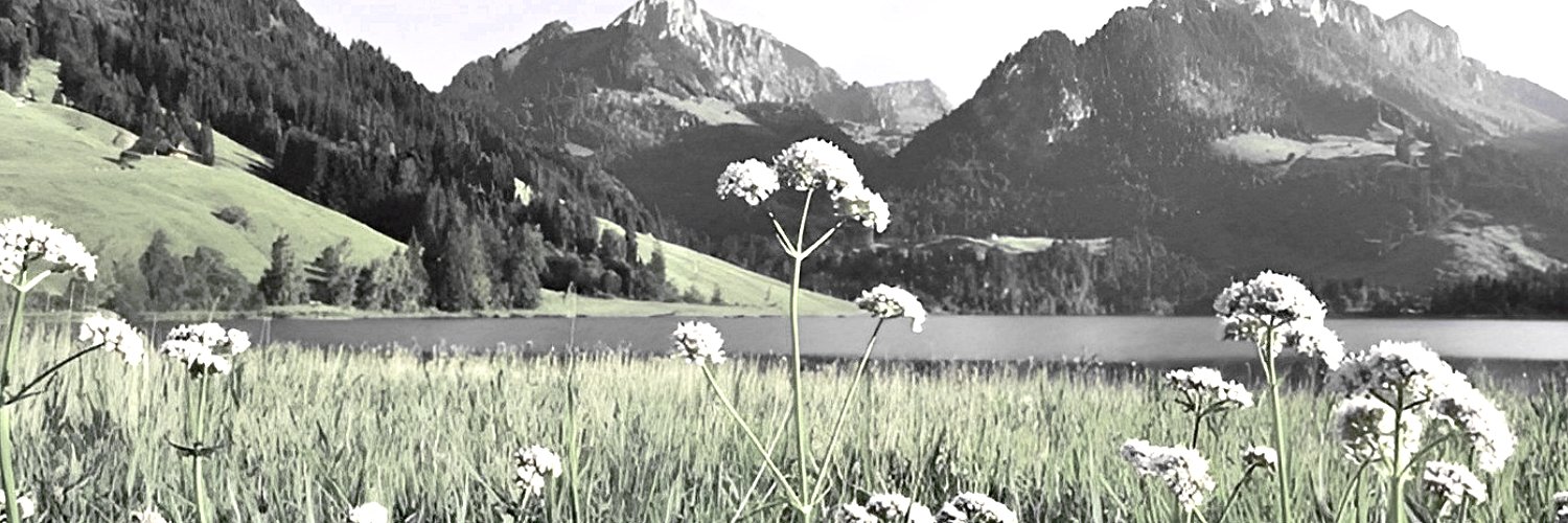 ⋆ banner