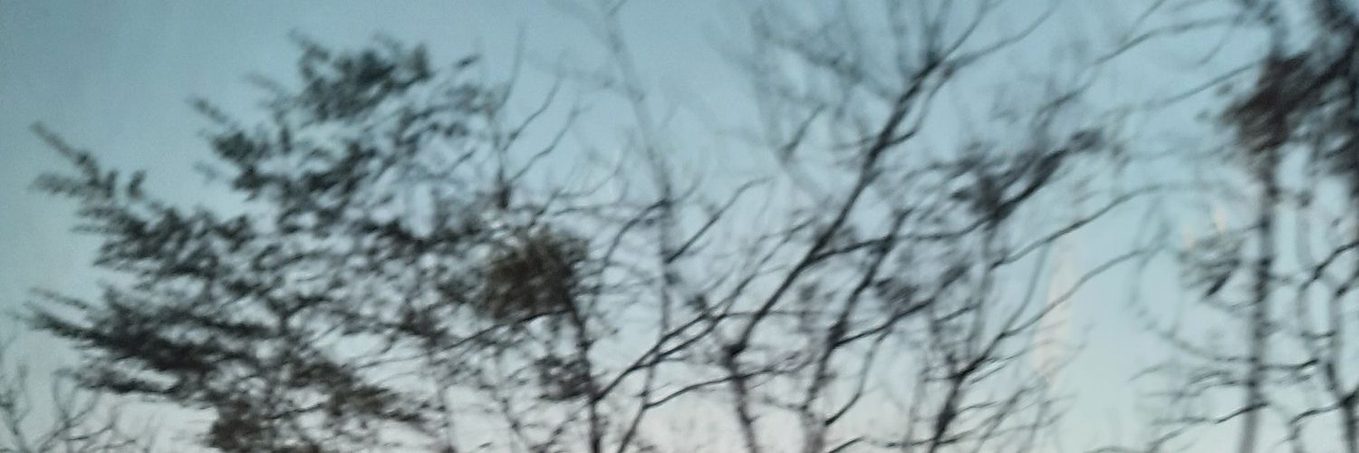 frogestt's profile banner image