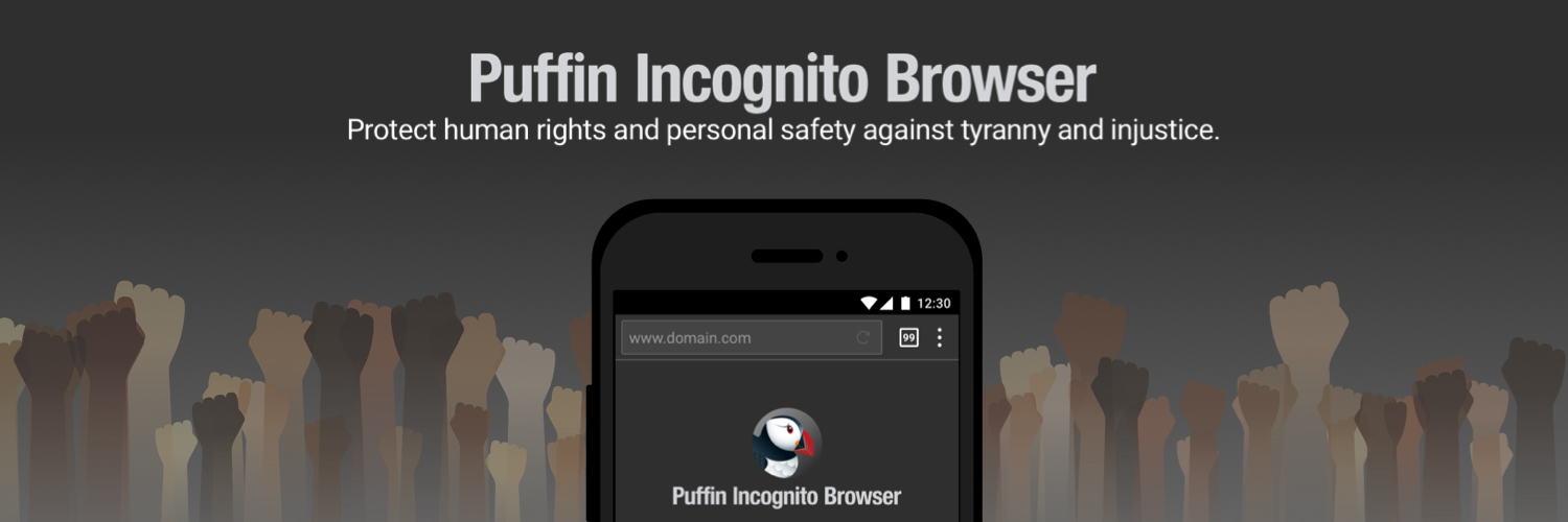 Puffin Browser banner