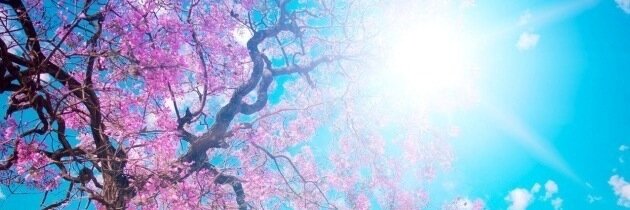 NewHeavenCT's profile banner image