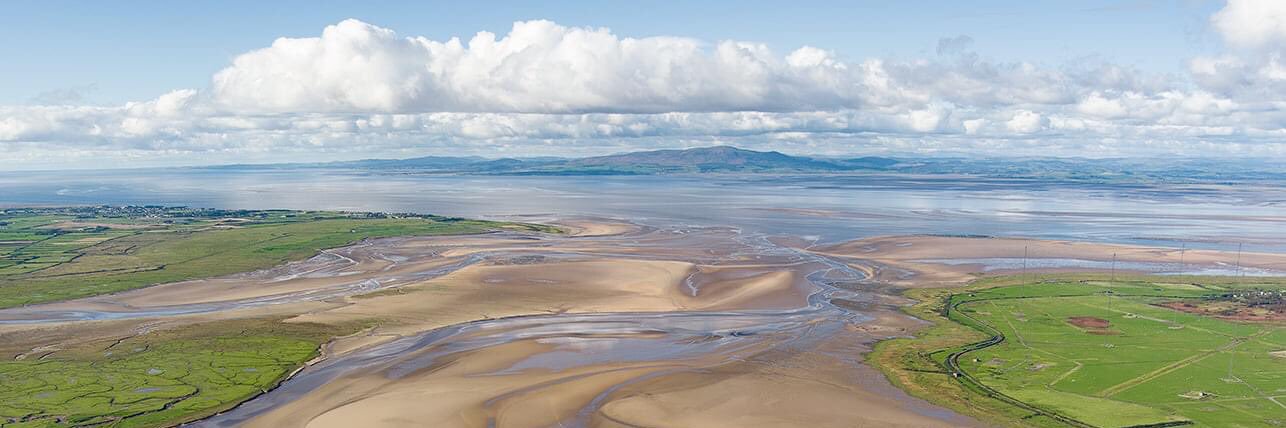 Michael Waring banner