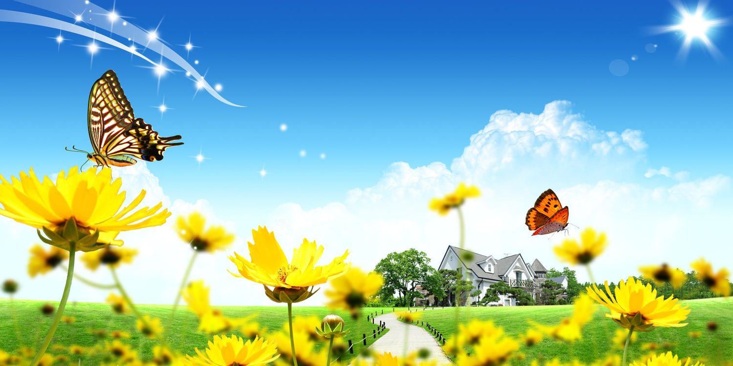 DanMuhoro's profile banner image