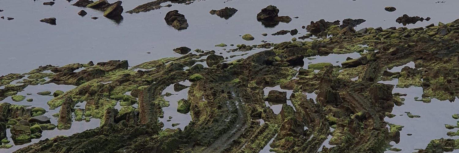 Mirima101110's profile banner image