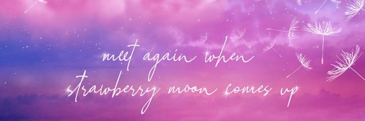 dalmoon13_'s profile banner image
