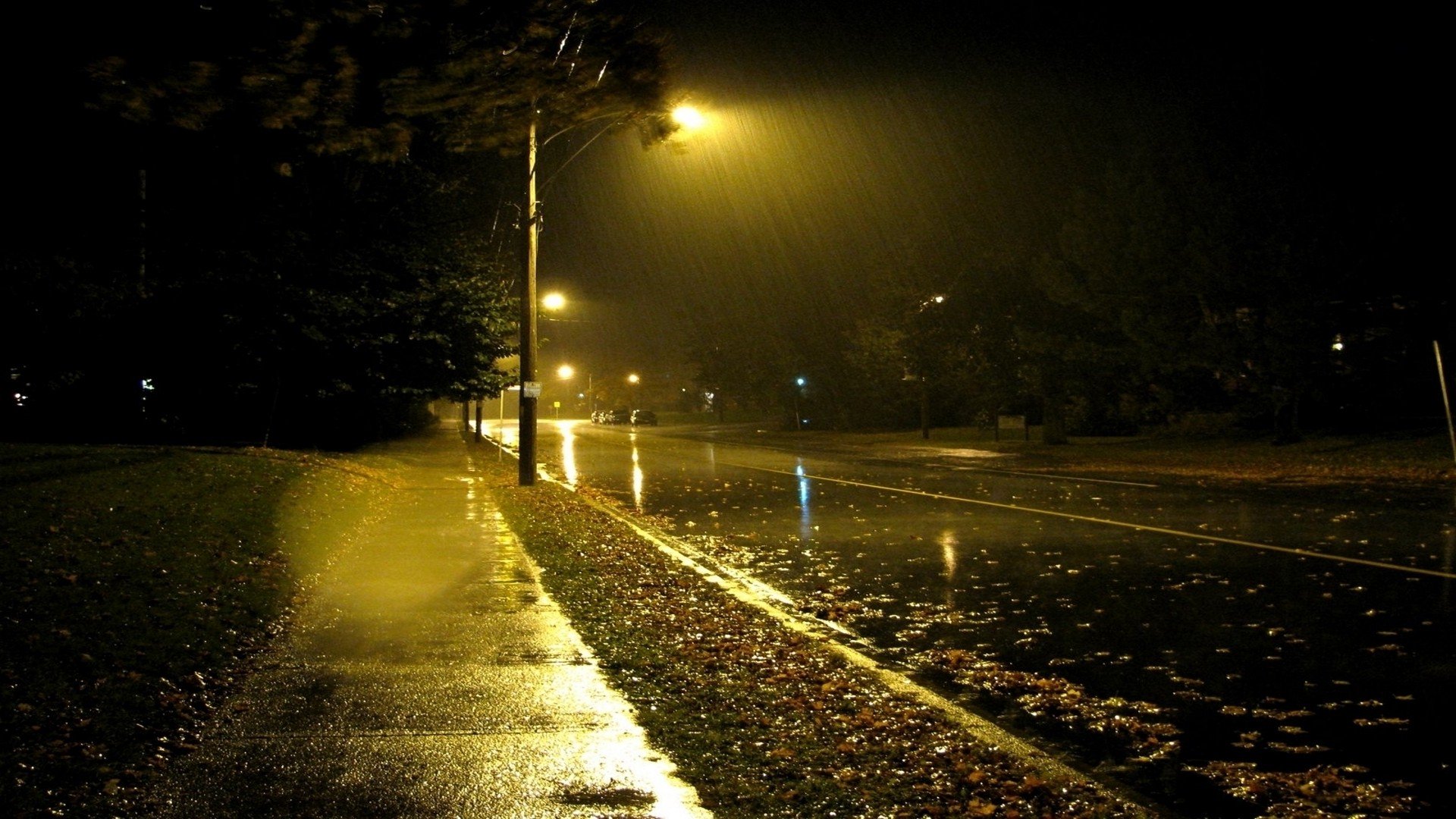 raj863210's profile banner image