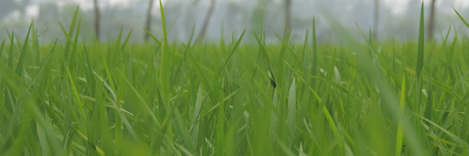Saju021's profile banner image
