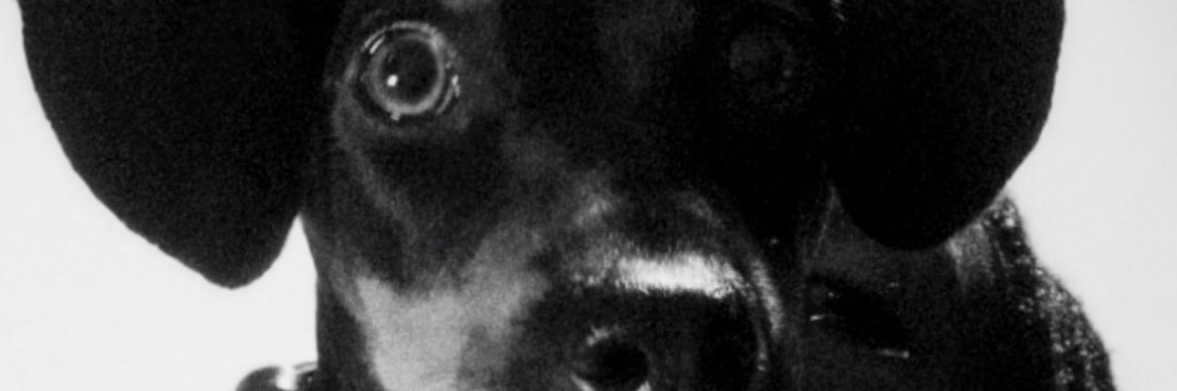michaelghould's profile banner image
