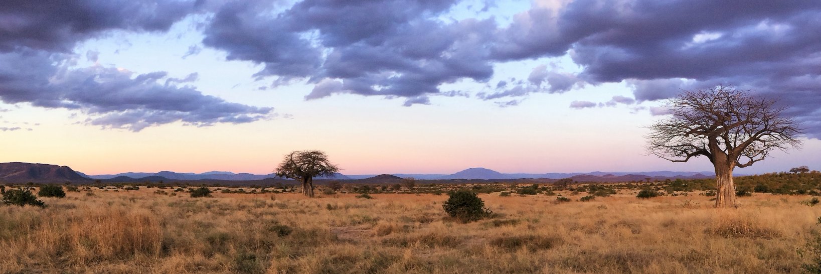Amanda Berrian, DVM, PhD, MPH, DACVPM banner