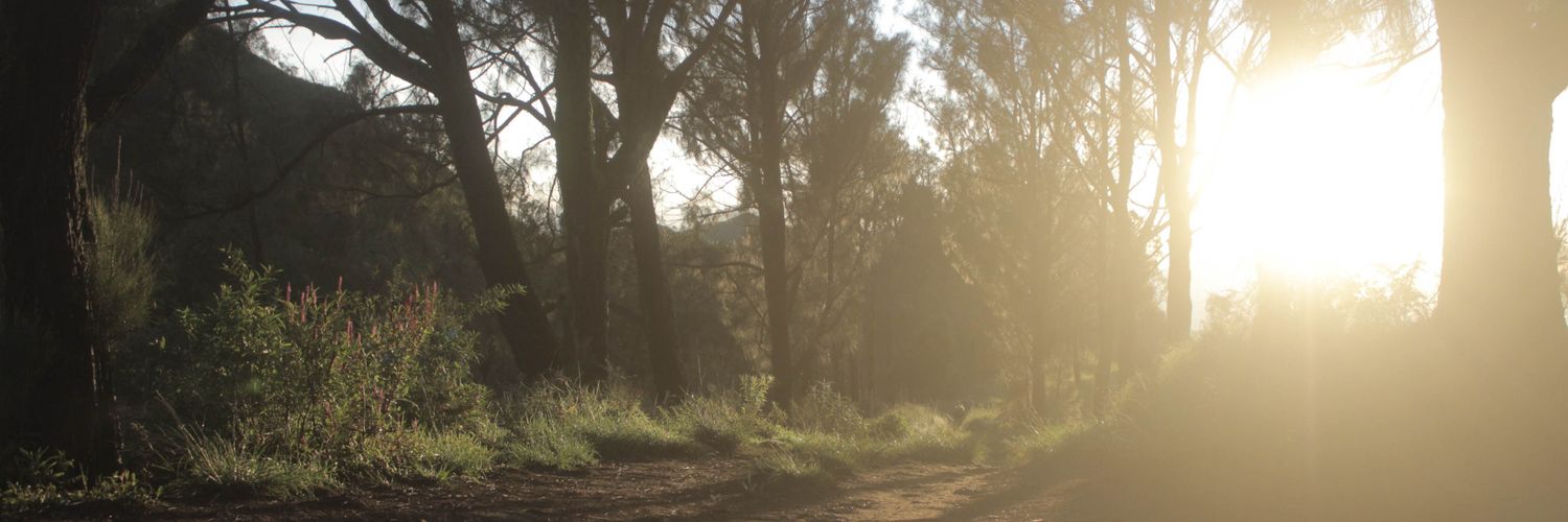Arijhusna's profile banner image