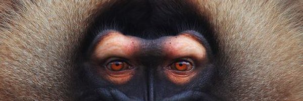 lidyaureliano Profile Banner