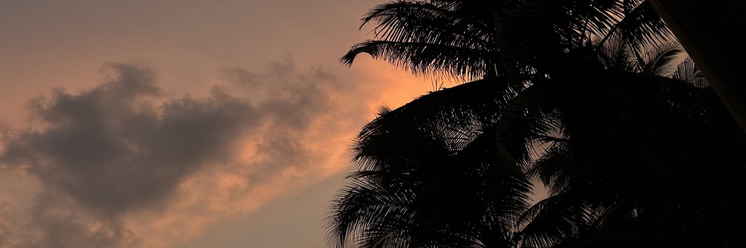 annluu_24's profile banner image