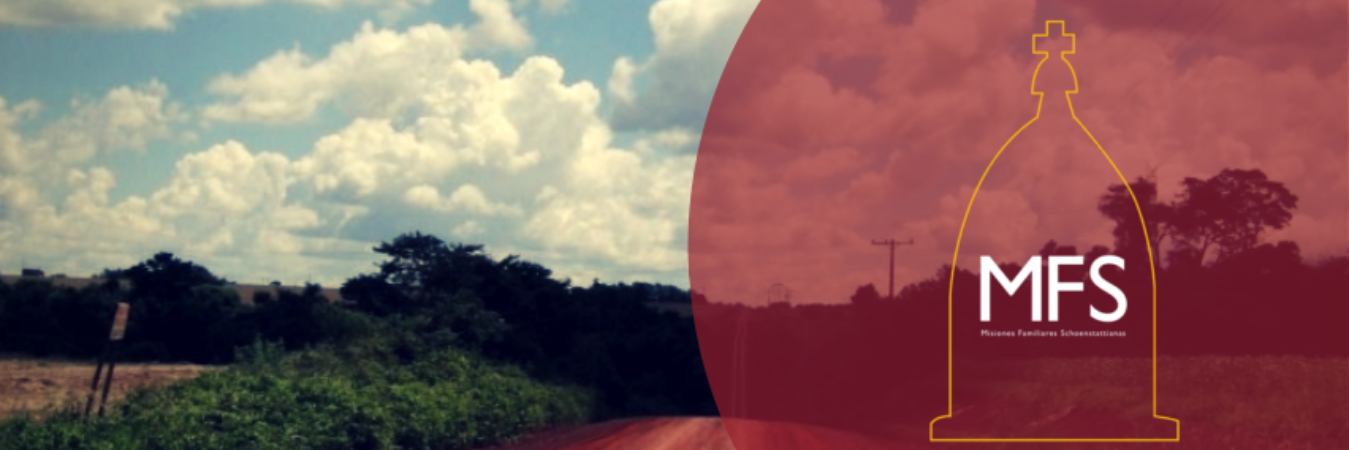MfsPy's profile banner image