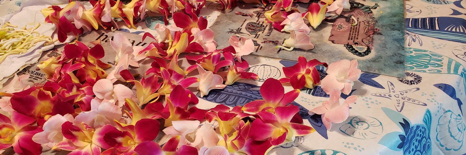 TheEmoWonder's profile banner image